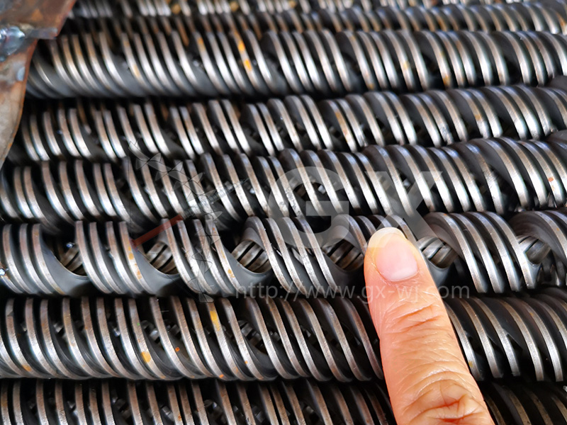 �����Ⱥ�����ҶƬ